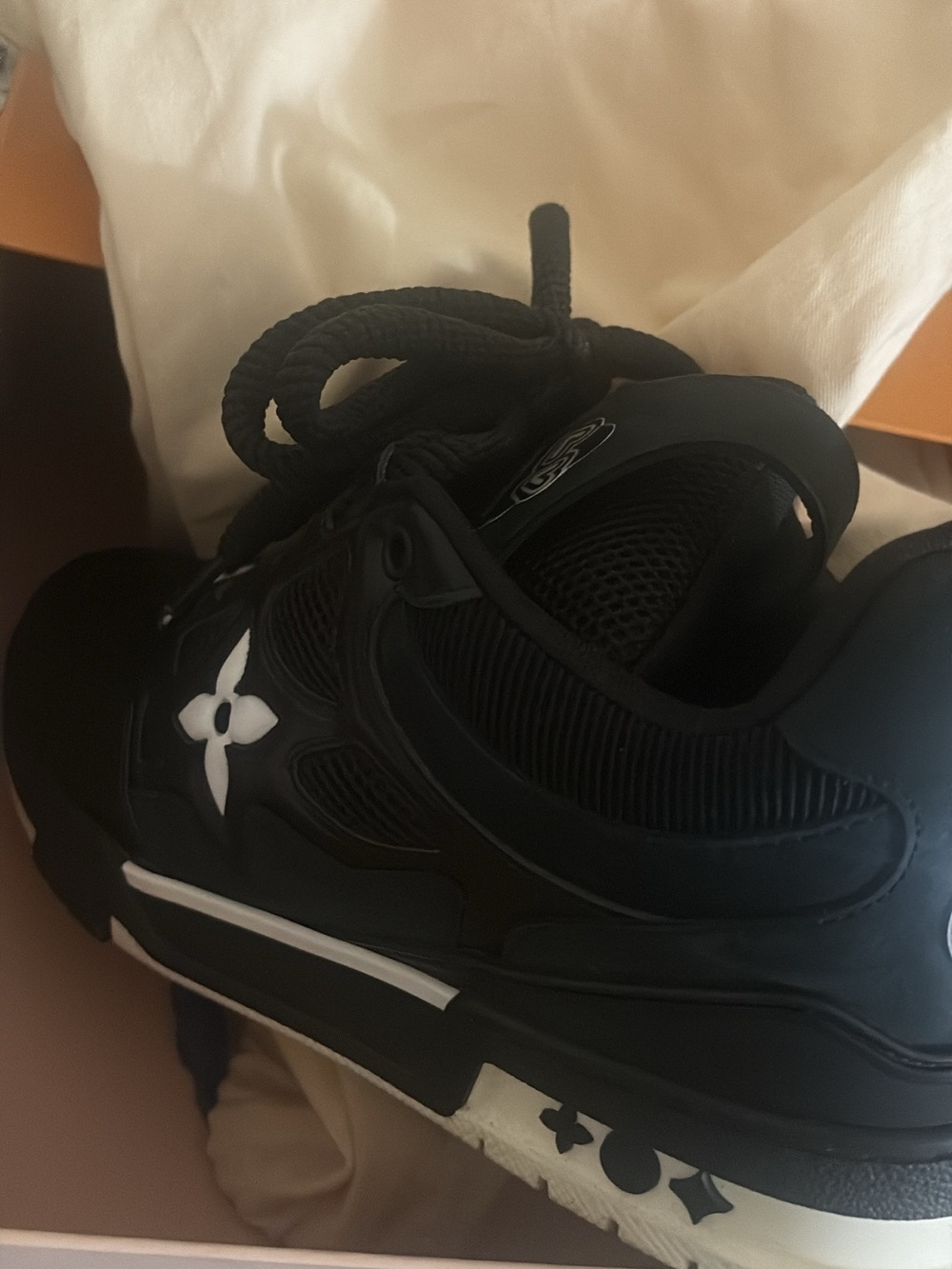 Louis Vuitton Black and White LV skate sneaker